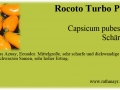 021_rocoto-turbo-pube