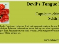 035_devils-tongue-red