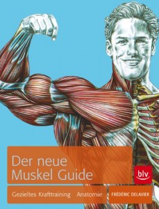 Read more about the article Der neue Muskel Guide