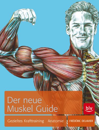 You are currently viewing Der neue Muskel Guide